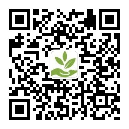 Official Account